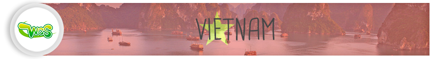 ban_VIETNAM