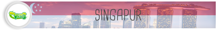 ban_singapur