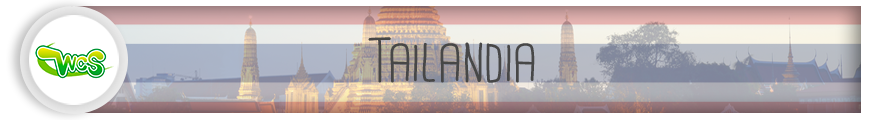 ban_tailandia